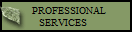   PROFESSIONAL
SERVICES  
