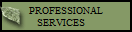 PROFESSIONAL
SERVICES   